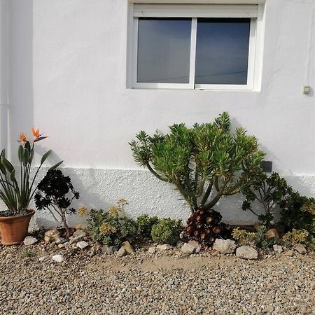 Casa Jardin. Vivienda Rural En Zona Tranquila. Villa Lucainena de las Torres Exteriör bild