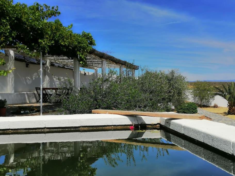 Casa Jardin. Vivienda Rural En Zona Tranquila. Villa Lucainena de las Torres Exteriör bild