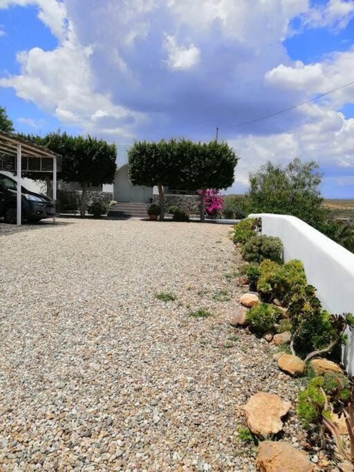 Casa Jardin. Vivienda Rural En Zona Tranquila. Villa Lucainena de las Torres Exteriör bild