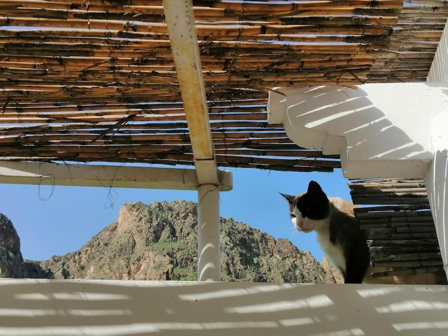 Casa Jardin. Vivienda Rural En Zona Tranquila. Villa Lucainena de las Torres Exteriör bild