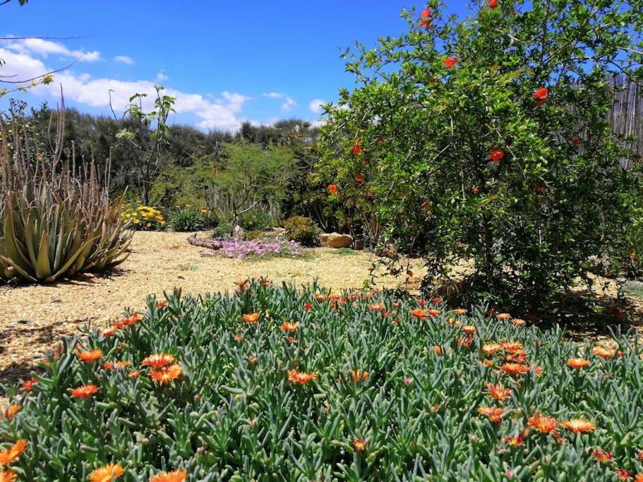 Casa Jardin. Vivienda Rural En Zona Tranquila. Villa Lucainena de las Torres Exteriör bild